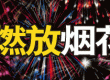 应城中心城区禁止燃放烟花爆竹专题