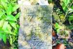江夏现汉阳铁厂界碑 距今已超过百年历史